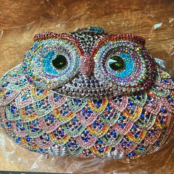 Bejeweled Owl Fancy Dinner Bag - Multi Colored Gemstone Owls Face - New Silk Box - Picture 3 of 12
